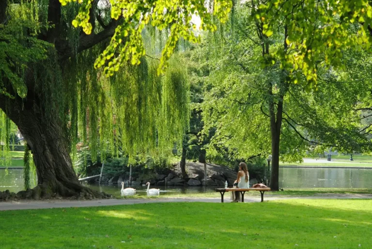 A couple walking in a green park on a sunny day, enjoying a relaxing stroll together. Ideal for romantic meetups, outdoor activities, free time, and nature walks organized through HobiZo.